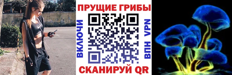 Галлюциногенные грибы Magic Shrooms  Чистополь 