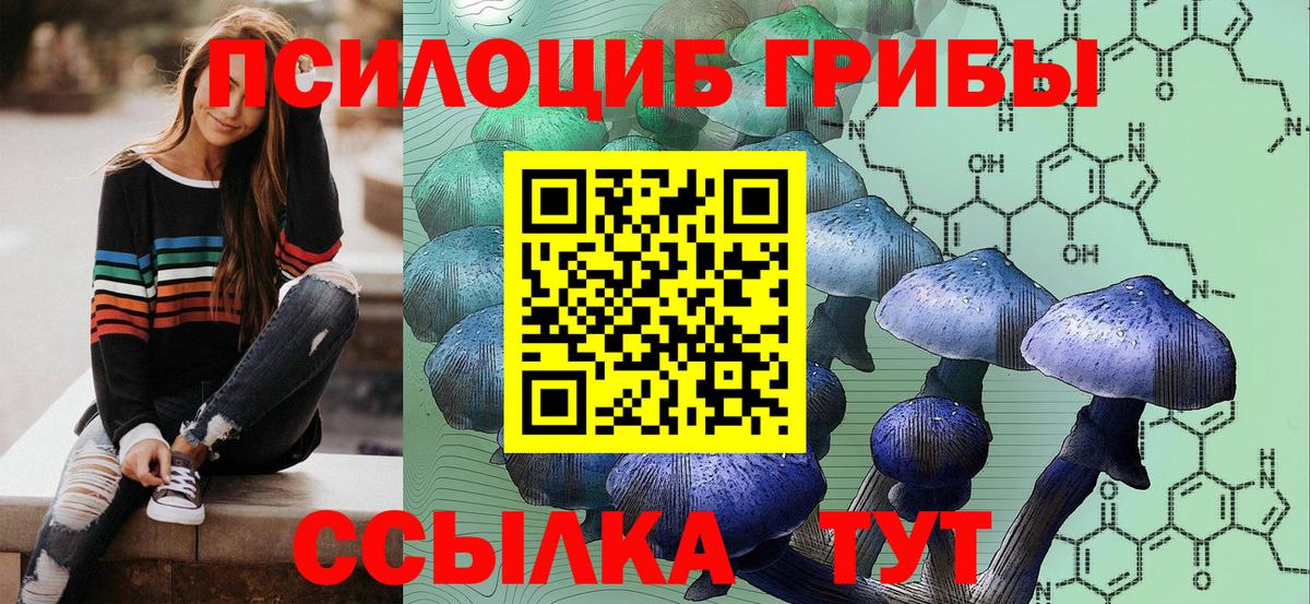 Галлюциногенные грибы мухоморы Чистополь