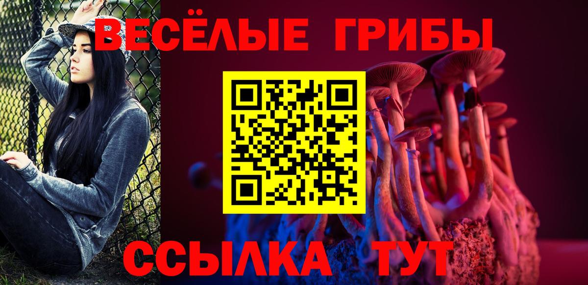 Псилоцибиновые грибы Cubensis  Вход с VPN  Чистополь  Псилоцибиновые грибы Psilocybine cubensis 