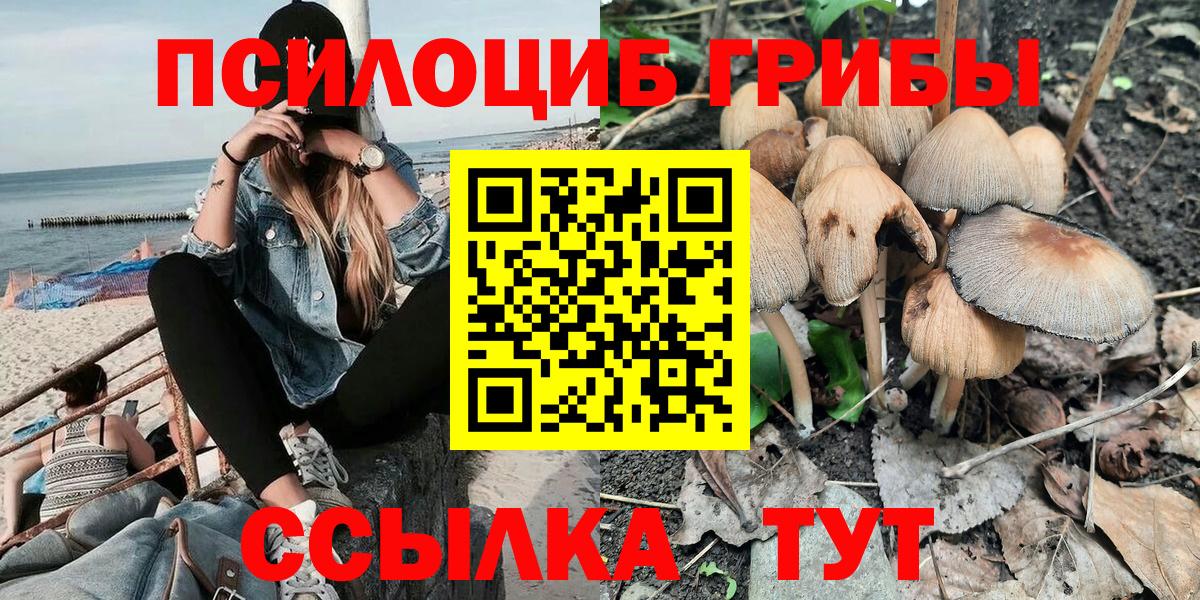 Галлюциногенные грибы Magic Shrooms Чистополь