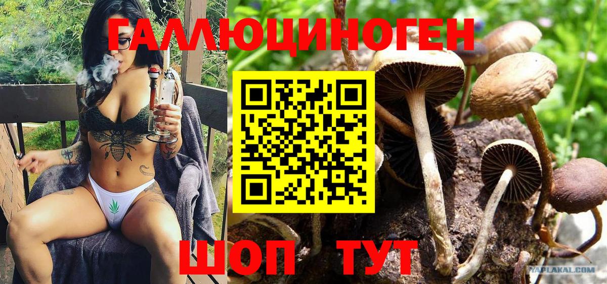 Галлюциногенные грибы прущие грибы  Вход с VPN  Псилоцибиновые грибы Magic Shrooms  Чистополь 