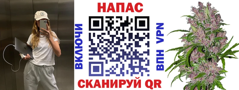 МАРИХУАНА сатива  купить наркотик  Чистополь 